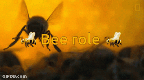 A Picture Of Bees With The Words Bee Role Written Above Them GIF