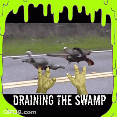 A Picture Of Birds And A Hand With The Words " Draining The Swamp " On It GIF