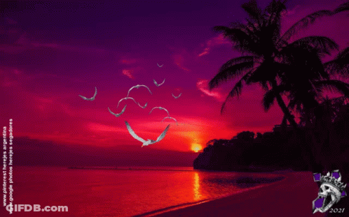 A Picture Of Birds Flying Over A Beach With The Date 2021 GIF