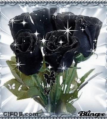 A Picture Of Black Roses And Butterflies With The Word Blingee On The Bottom GIF