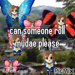 A Picture Of Butterflies With The Words Can Someone Roll Mudae Please Written On It GIF