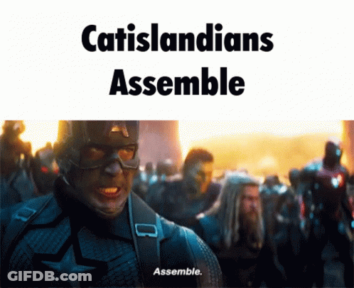 A Picture Of Captain America With The Words Catislandians Assemble Below Him GIF