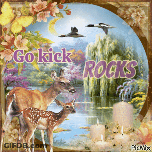 A Picture Of Deer With The Words Go Kick Rocks GIF