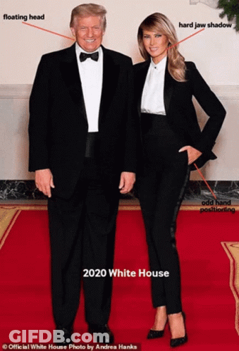 A Picture Of Donald Trump And Melania Obama From The White House GIF