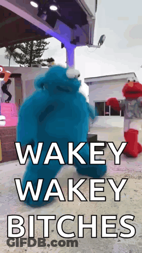 A Picture Of Elmo And Cookie Monster With The Words Wakey Wakey Bitches GIF