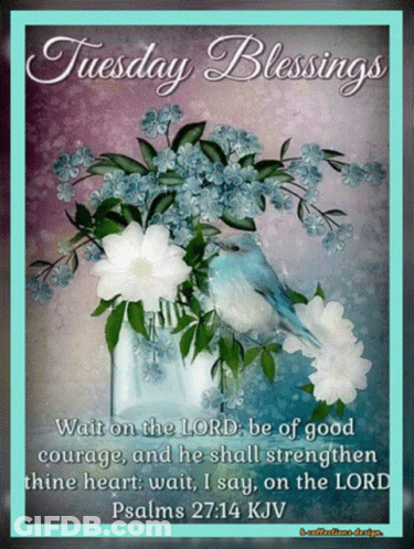 A Picture Of Flowers And A Bird With The Words Tuesday Blessings On It GIF