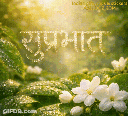 A Picture Of Flowers And Leaves With The Words " Indian Gifs Clips & Stickers " At The Top GIF