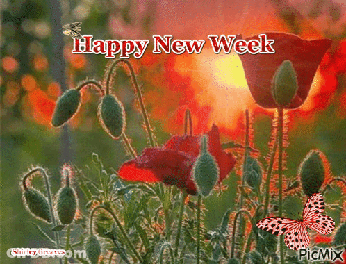 A Picture Of Flowers With A Happy New Week Message GIF