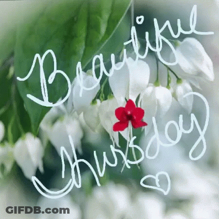 A Picture Of Flowers With The Words Beautiful Thursday Written On It . GIF
