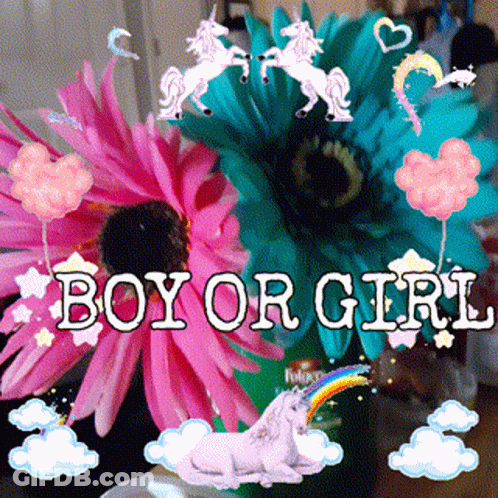 A Picture Of Flowers With The Words Boy Or Girl GIF