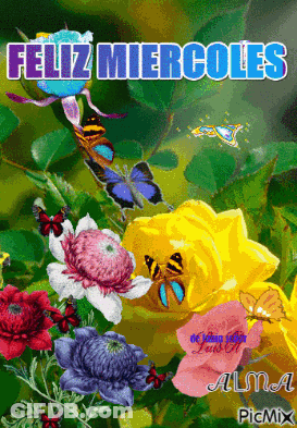 A Picture Of Flowers With The Words Feliz Miercoles GIF