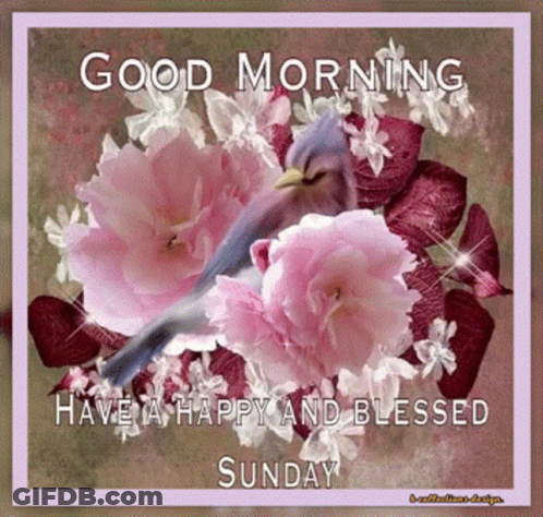 A Picture Of Flowers With The Words Good Morning Have A Happy And Blessed Sunday On It GIF