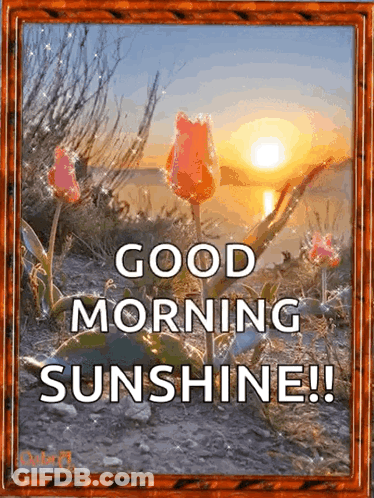 A Picture Of Flowers With The Words Good Morning Sunshine Written On It GIF