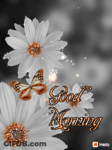 A Picture Of Flowers With The Words Good Morning GIF