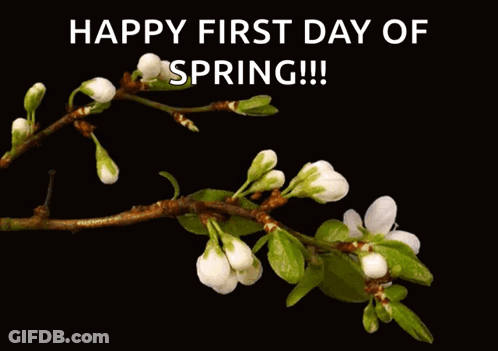 A Picture Of Flowers With The Words Happy First Day Of Spring On The Bottom GIF