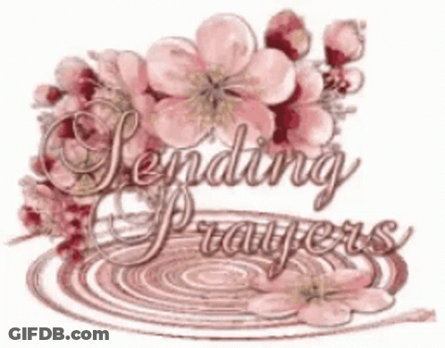 A Picture Of Flowers With The Words Sending Prayers GIF