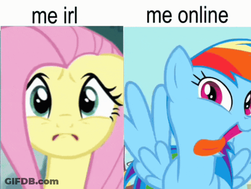 A Picture Of Fluttershy And Rainbow Dash With The Words Me Irl And Me Online Below Them GIF