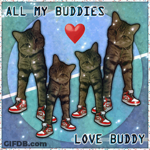A Picture Of Four Cats Wearing Nike Shoes With The Words All My Buddies Love Buddy GIF