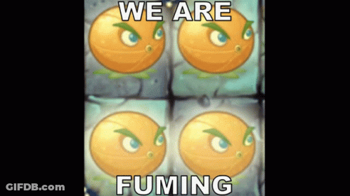 A Picture Of Four Oranges With The Words We Are Fuming GIF
