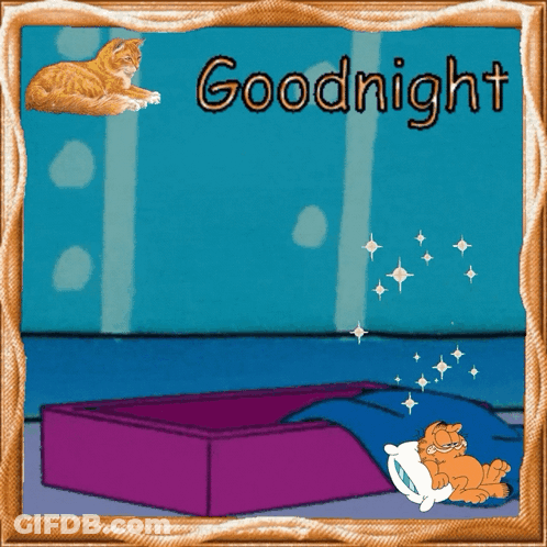 A Picture Of Garfield Sleeping In A Bed With The Words Goodnight Written Above Him GIF