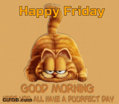 A Picture Of Garfield With The Words Happy Friday Good Morning Hope You All Have A Purfect Day GIF