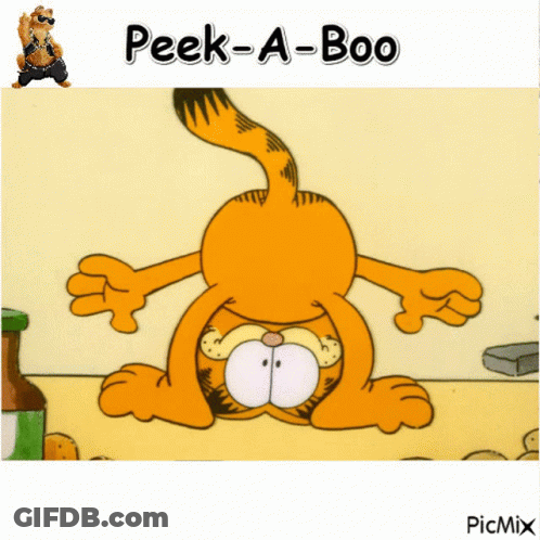 A Picture Of Garfield With The Words Peek-A-Boo GIF