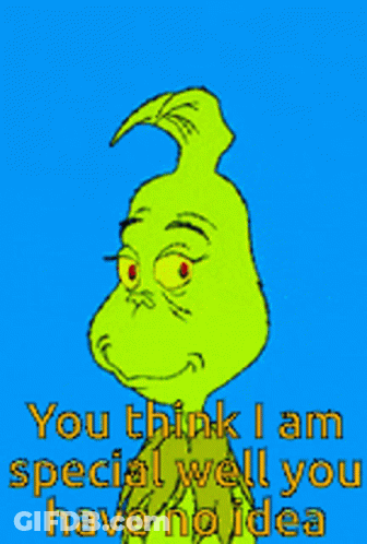 A Picture Of Grinch With The Words You Think I Am Special Well You Have No Idea GIF