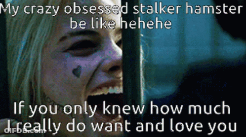 A Picture Of Harley Quinn With The Caption My Crazy Obsessed Stalker Hamster Be Like Hene GIF