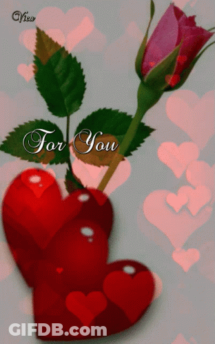 A Picture Of Hearts And A Rose With The Words For You GIF
