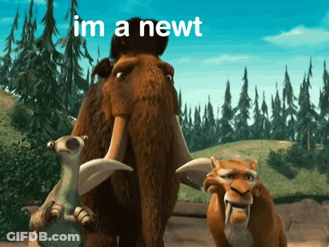 A Picture Of Ice Age Characters With The Words Im A Newt Above Them GIF