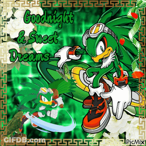A Picture Of Jet The Hedgehog With The Words Goodnight And Sweet Dreams GIF