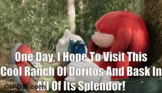 A Picture Of Knuckles And Sonic With The Caption One Day I Hope To Visit This Cool Ranch Of Doritos And Bask In GIF