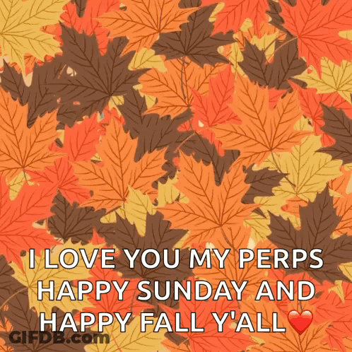 A Picture Of Leaves That Says I Love You My Pers Happy Sunday And Happy Fall Y'all GIF