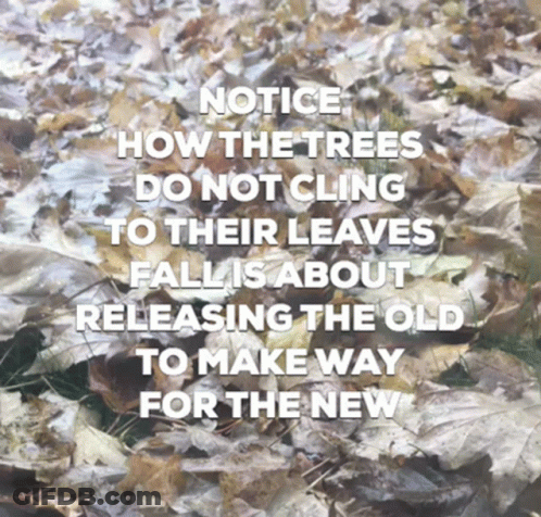 A Picture Of Leaves With A Quote Notice How The Trees Do Not Cling To Their Leaves GIF