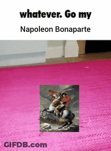 A Picture Of Napoleon Bonaparte Is On A Pink Rug GIF