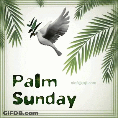A Picture Of Palm Sunday With A Dove Flying GIF