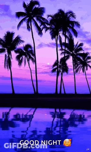 A Picture Of Palm Trees At Sunset With The Words Good Night GIF
