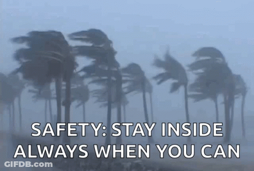 A Picture Of Palm Trees Blowing In The Wind With The Words " Safety Stay Inside Always When You Can " GIF