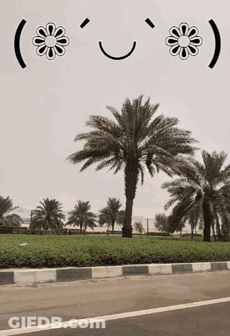 A Picture Of Palm Trees With A Smiley Face And Flowers GIF