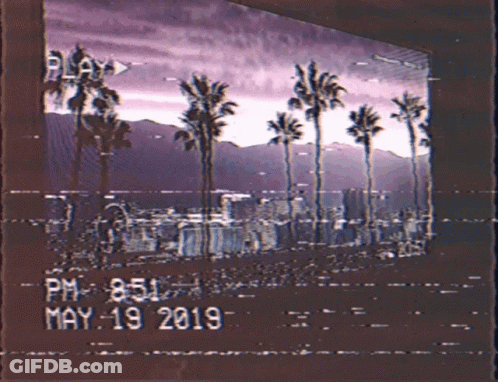 A Picture Of Palm Trees With The Date Of May 19 2019 GIF