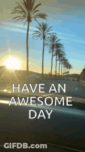 Palm Trees With Have An Awesome Day Text GIF