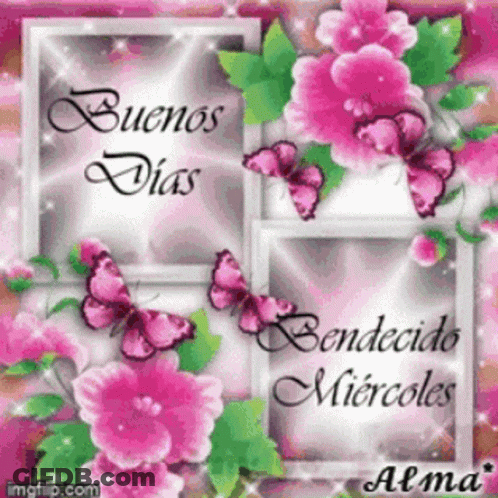 A Picture Of Pink Flowers And Butterflies With The Words Buenos Dias Benedicto Miércoles GIF