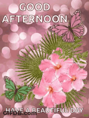 A Picture Of Pink Flowers And Butterflies With The Words `` Good Afternoon Have A Beautiful Day '' GIF
