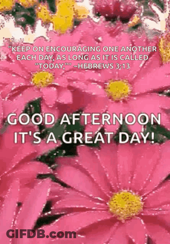 A Picture Of Pink Flowers With A Quote From Hebrews 3:13 On It GIF