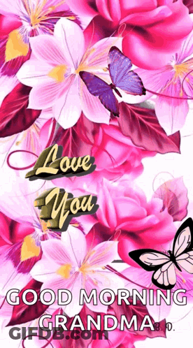 A Picture Of Pink Flowers With Butterflies And The Words " Love You " GIF