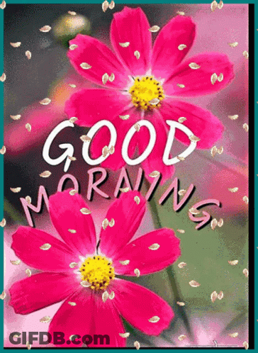 A Picture Of Pink Flowers With The Words Good Morning On It GIF