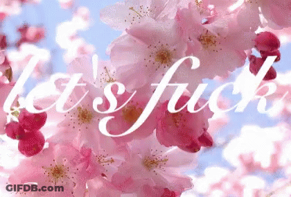 A Picture Of Pink Flowers With The Words Let 'S Fuck On It GIF