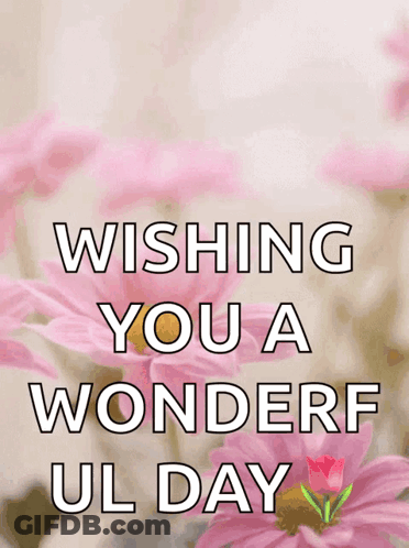 Pink Flowers Wishing You Wonderful Day GIF