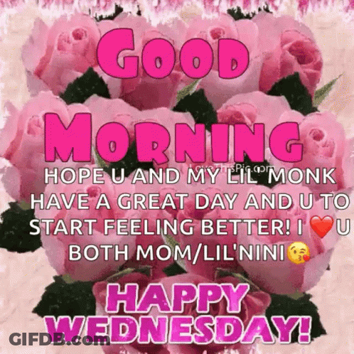 A Picture Of Pink Roses That Says Good Morning Hope U And My Lil Monk Have A Great Day And U To Start Feeling Better ! GIF
