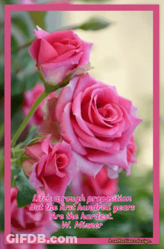 A Picture Of Pink Roses With A Quote From W. Mianer GIF